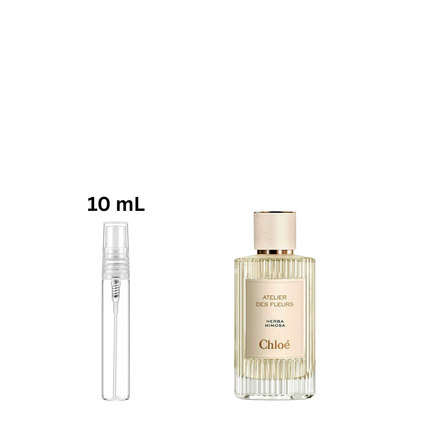 Chloé Atelier des Fleurs Herba Mimosa