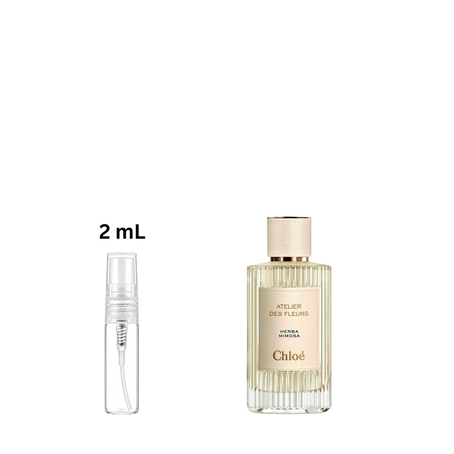 Chloé Atelier des Fleurs Herba Mimosa