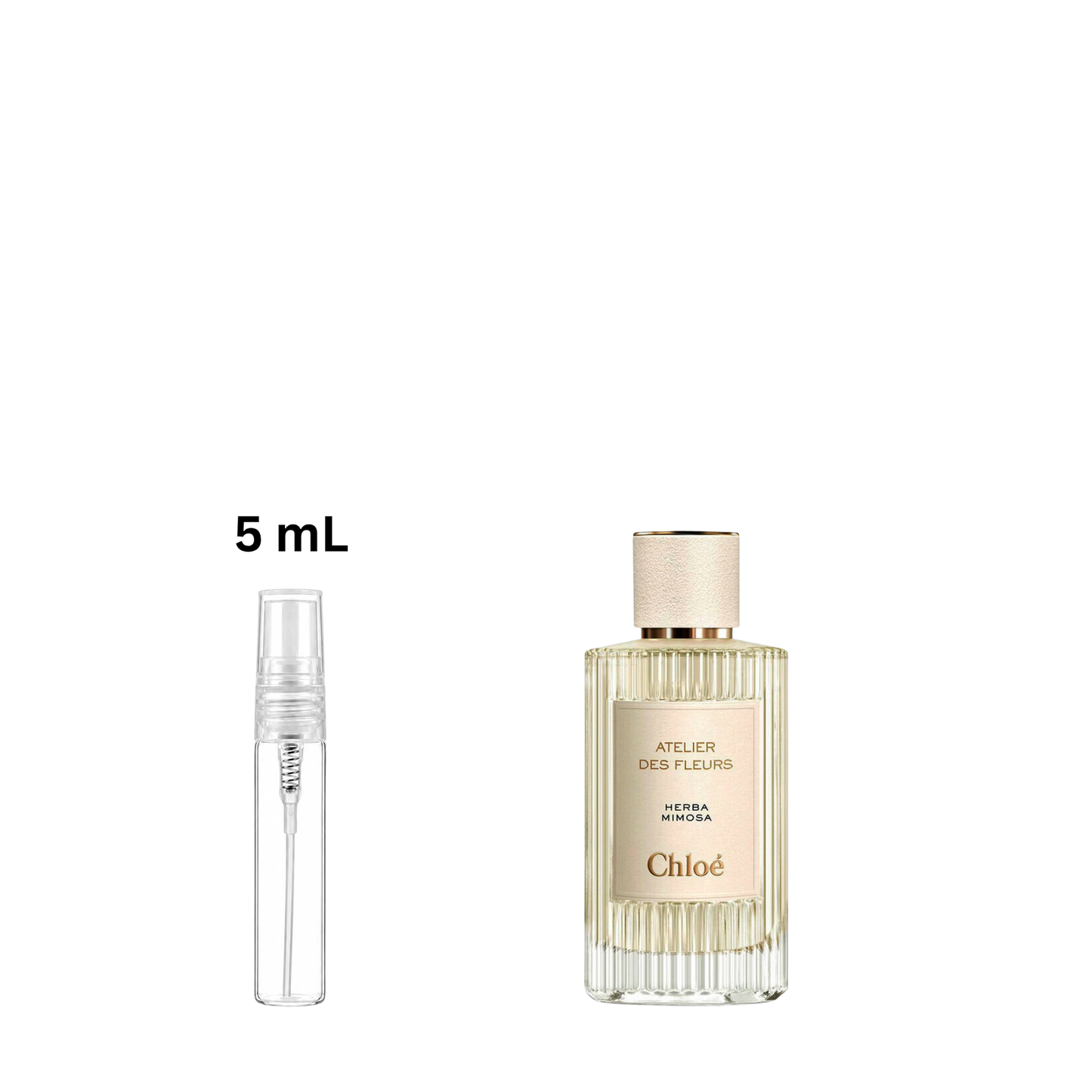 Chloé Atelier des Fleurs Herba Mimosa