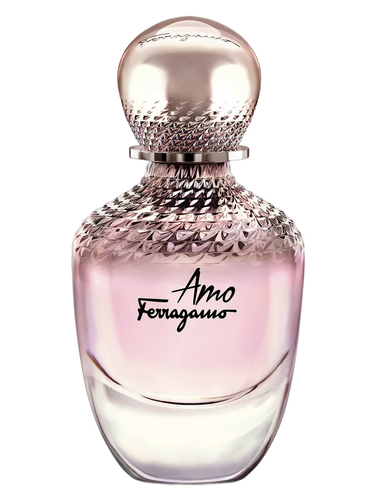 Ferragamo Amo