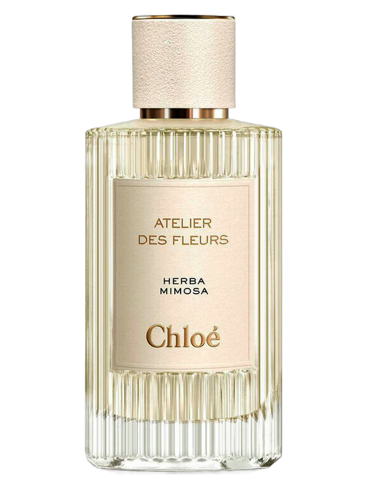 Chloé Atelier des Fleurs Herba Mimosa